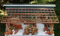 Overview  through plexiglas roof showing the baskets of produce.